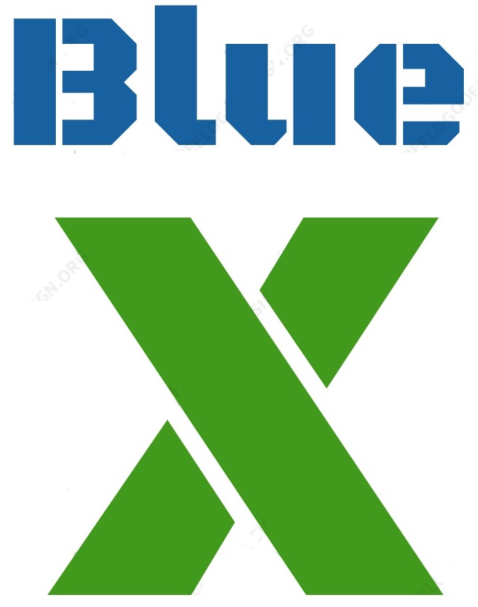 Bluechip Experience Limited (BlueX) logo